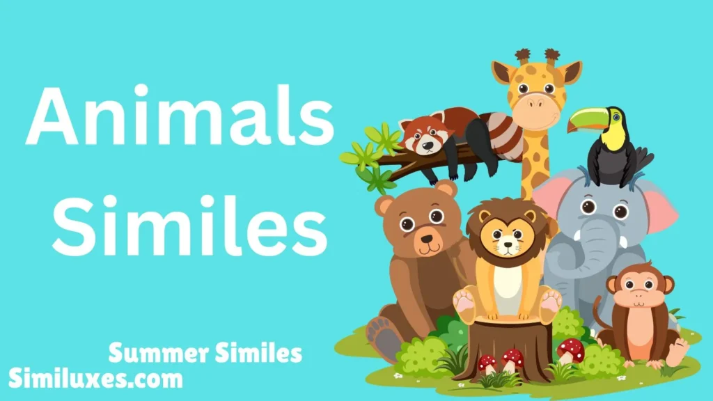 Animals Similes