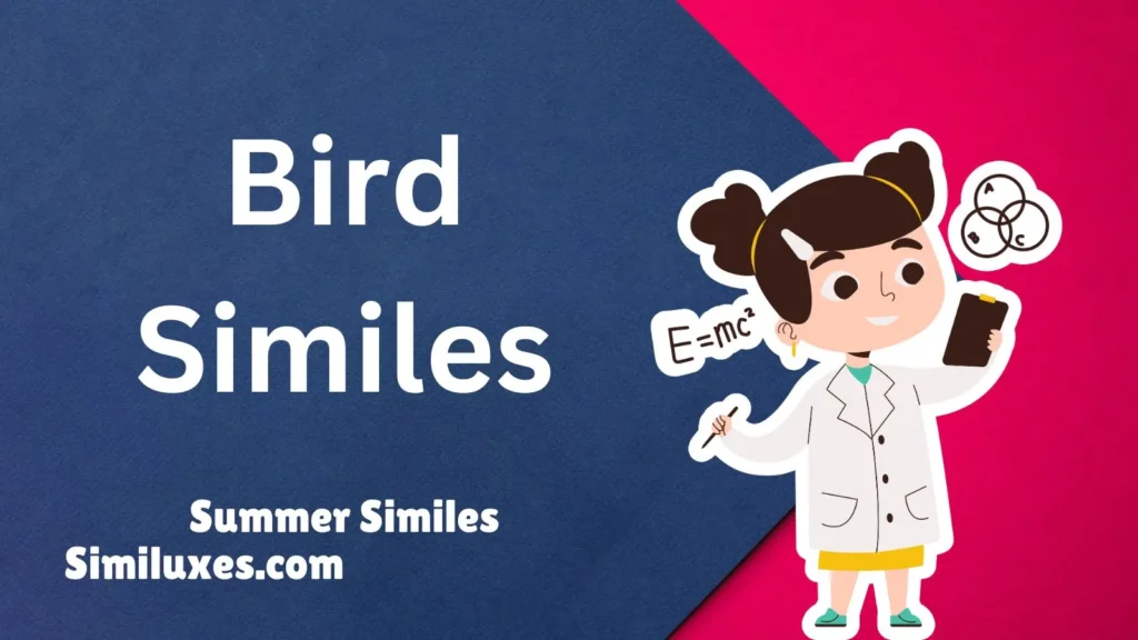 Bird Similes