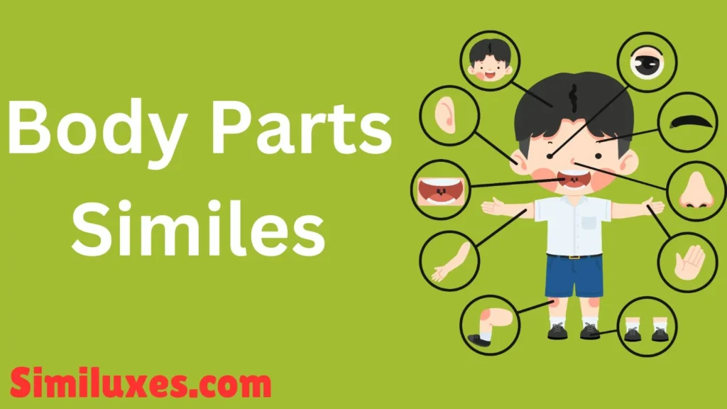 Body Parts Similes
