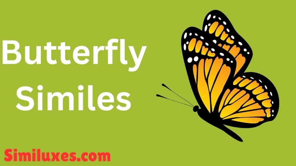 Butterfly Similes