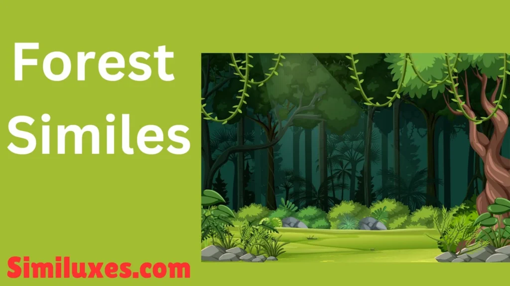 Forest Similes
