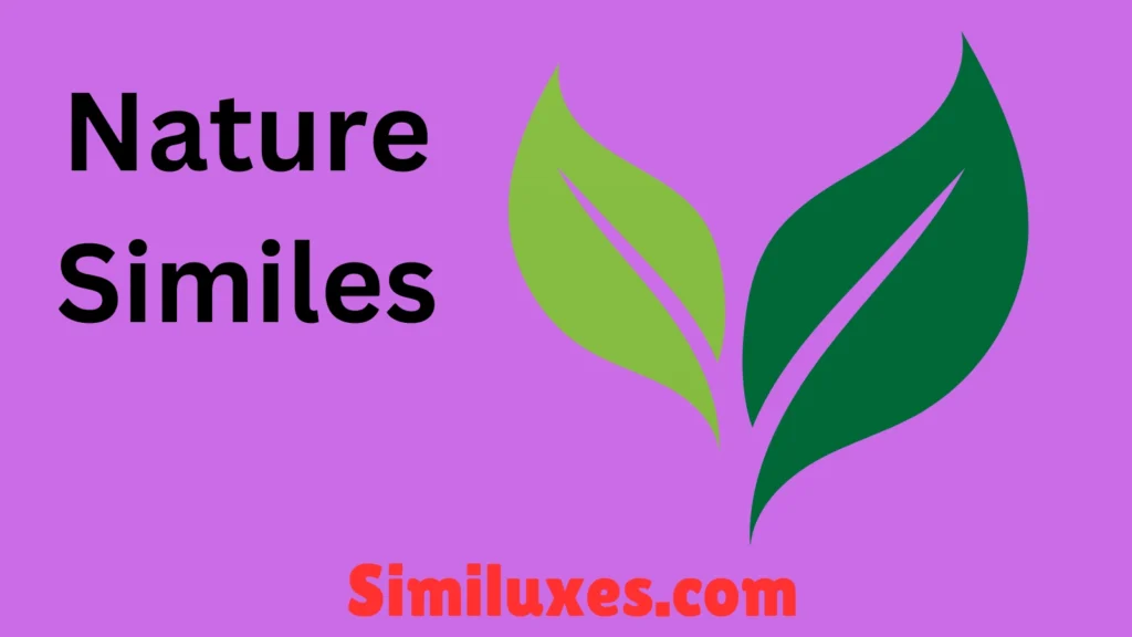 Nature Similes