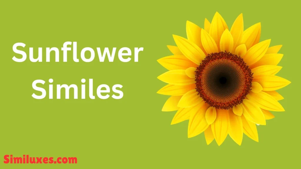 Sunflower Similes