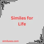 Similes for Life