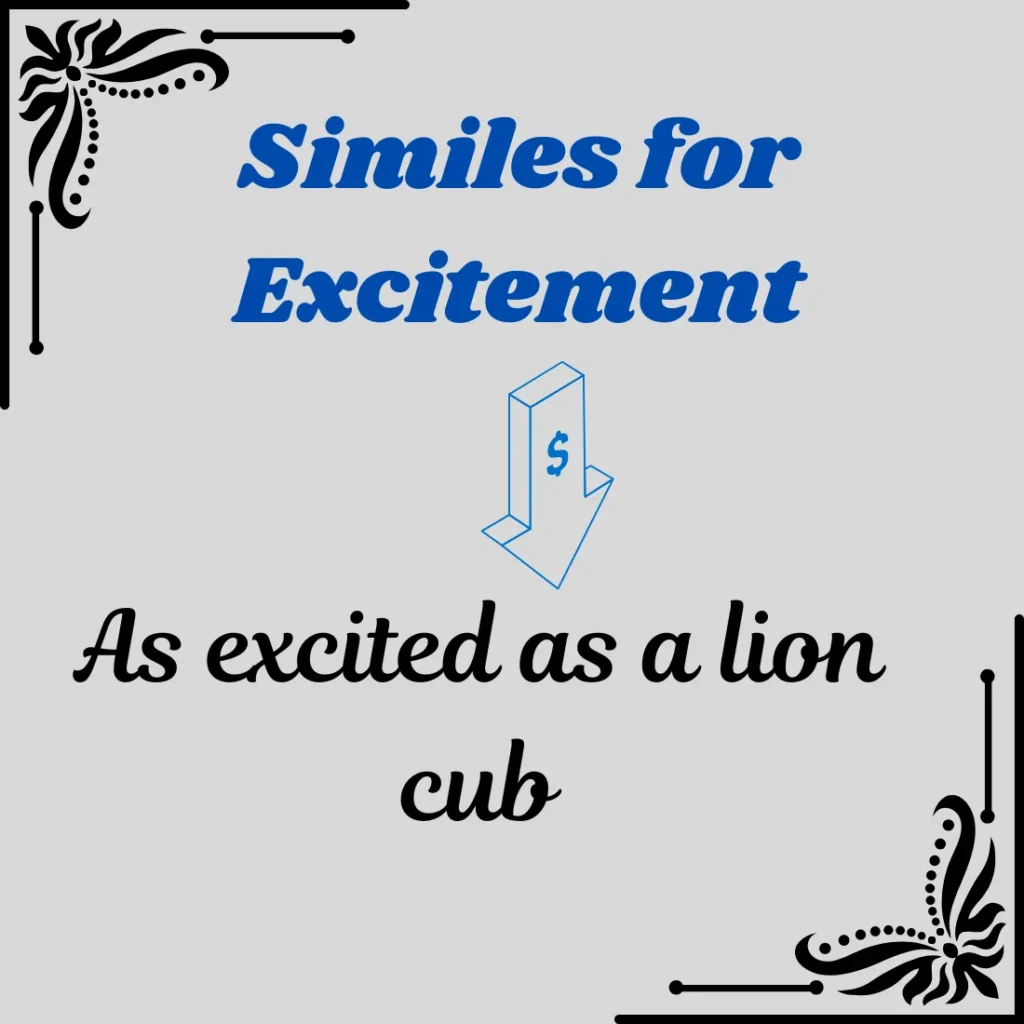 Similes for Excitement