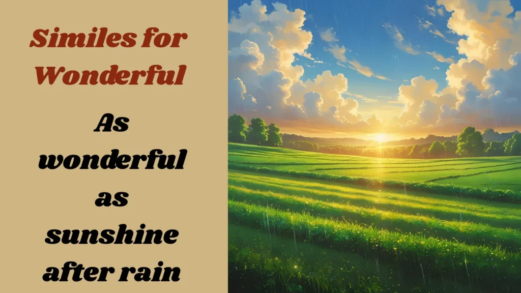 A wonderful sunshine after rain 