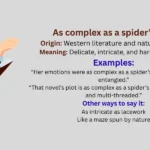 Similes for Complex