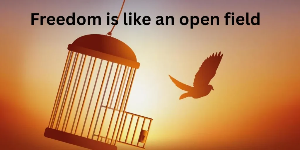Similes about Freedom