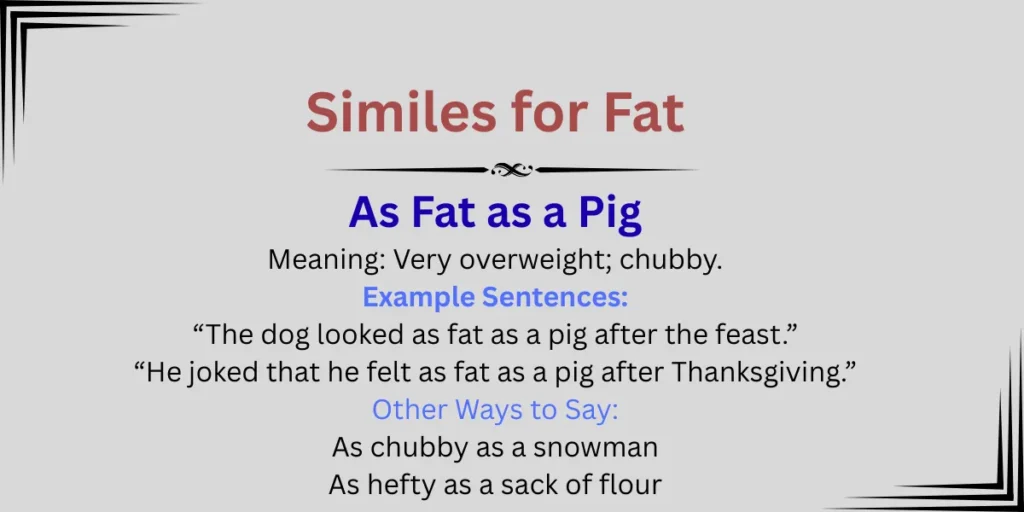 Similes for Fat Explained
