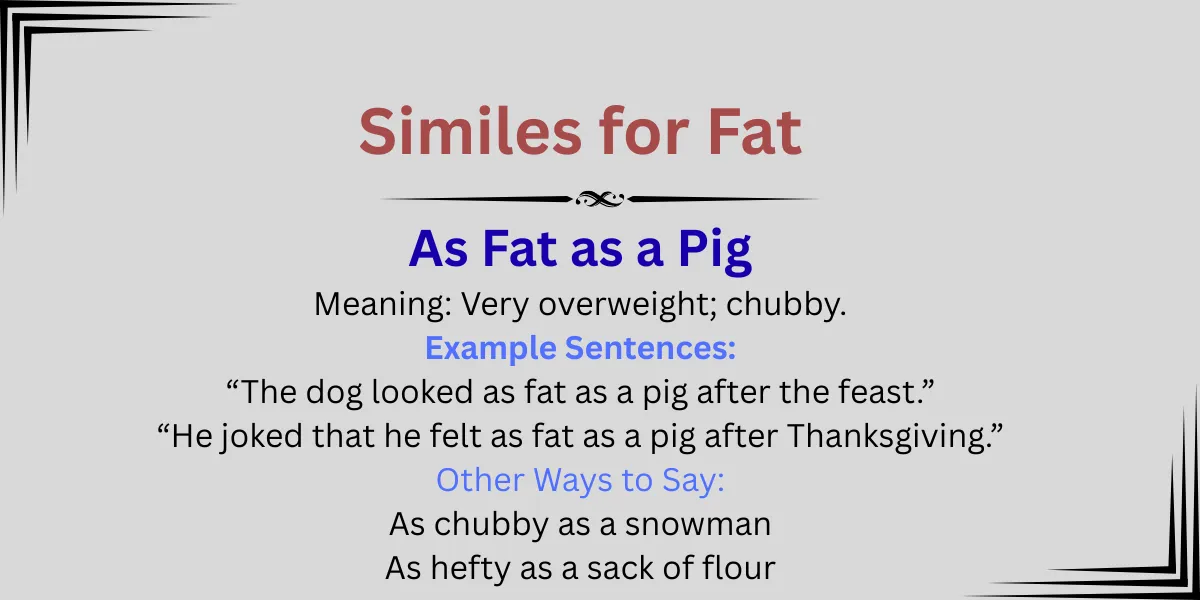 Similes for Fat Explained