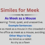 Similes for Meek Explained