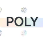 Poly Meaning