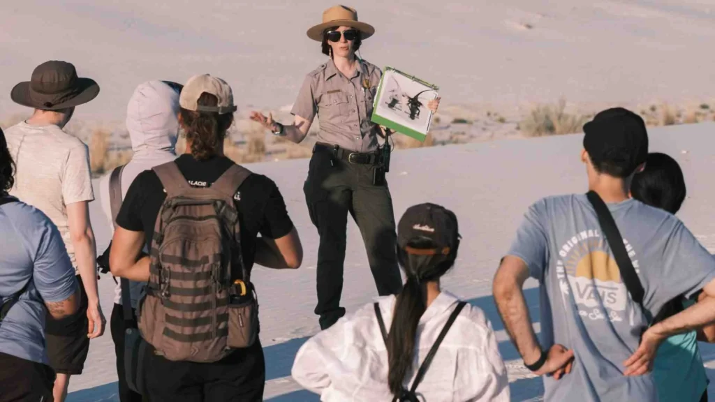 Best Time to Travel A Simple Guide for Beginners